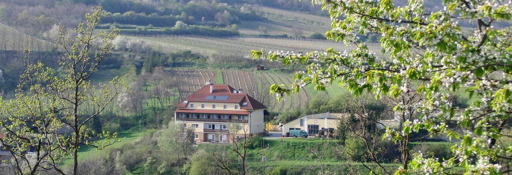 Pension Rudi - Weingut Kellner Hotel Pulkau Kültér fotó
