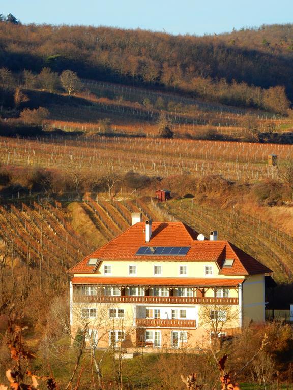 Pension Rudi - Weingut Kellner Hotel Pulkau Kültér fotó