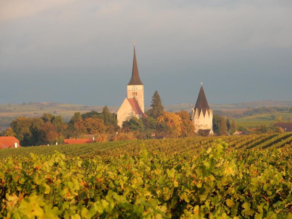 Pension Rudi - Weingut Kellner Hotel Pulkau Kültér fotó