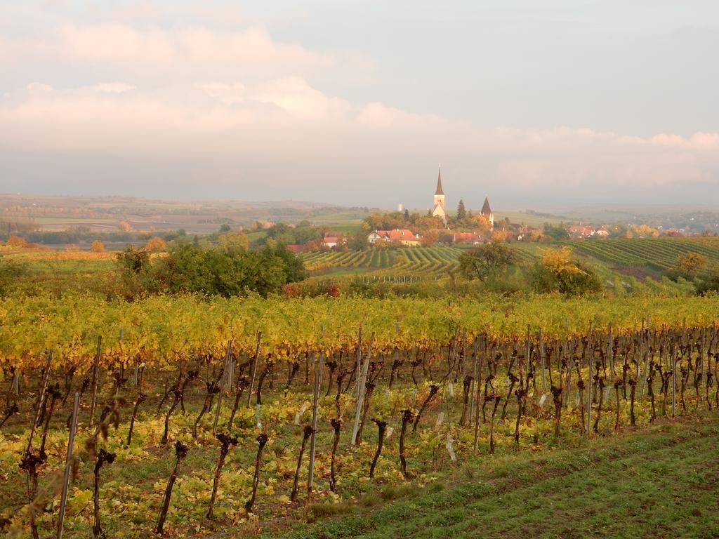 Pension Rudi - Weingut Kellner Hotel Pulkau Kültér fotó